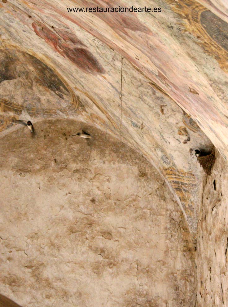 detalle de alteraciones biológicas producidas por la aves antes de la restauración de la pintura mural